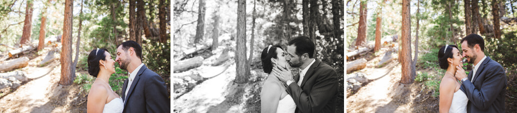 bride and groom kissing in the tahoe pines