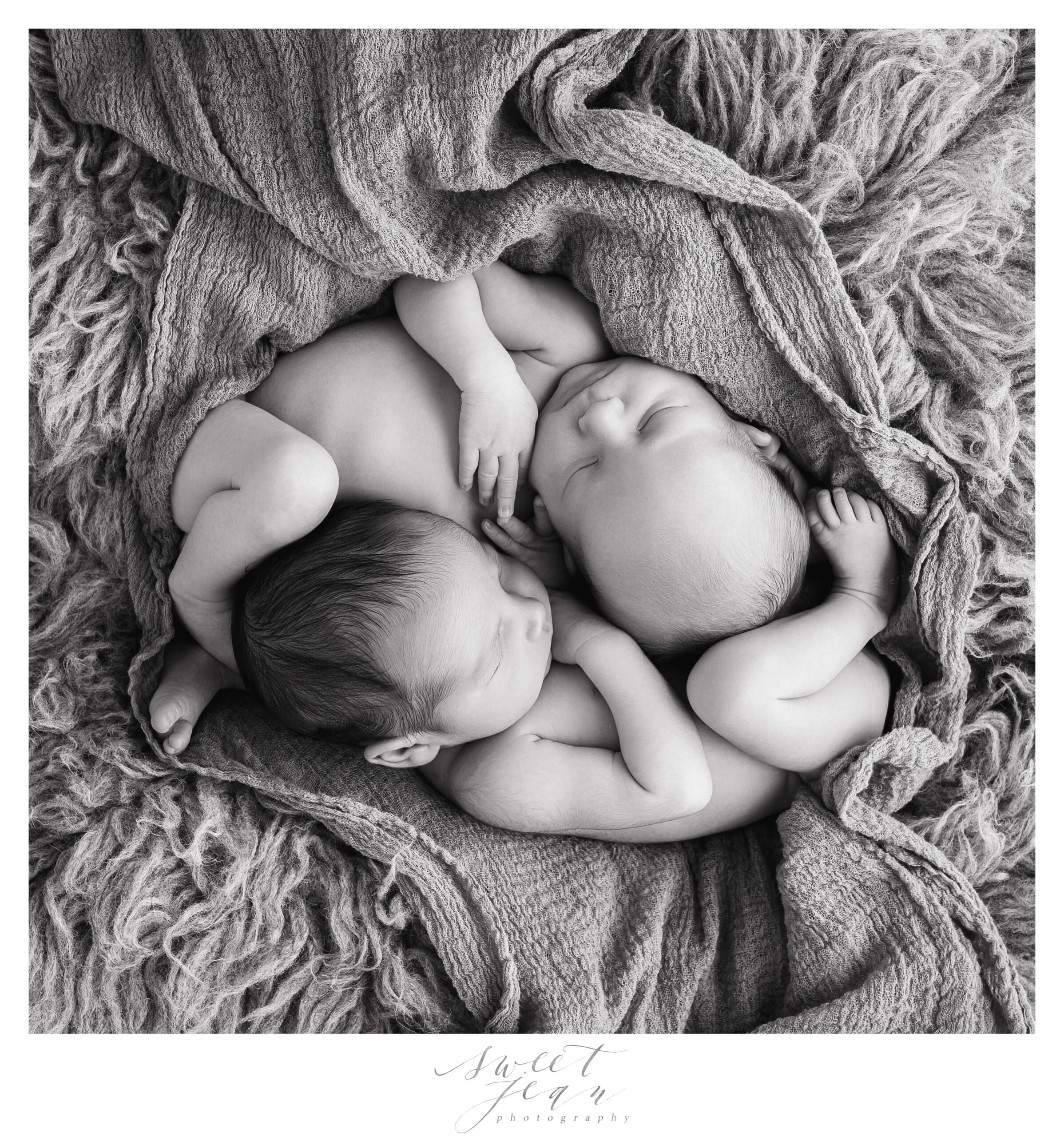 Jacob & Lucas | Newborn Twin Session Roseville
