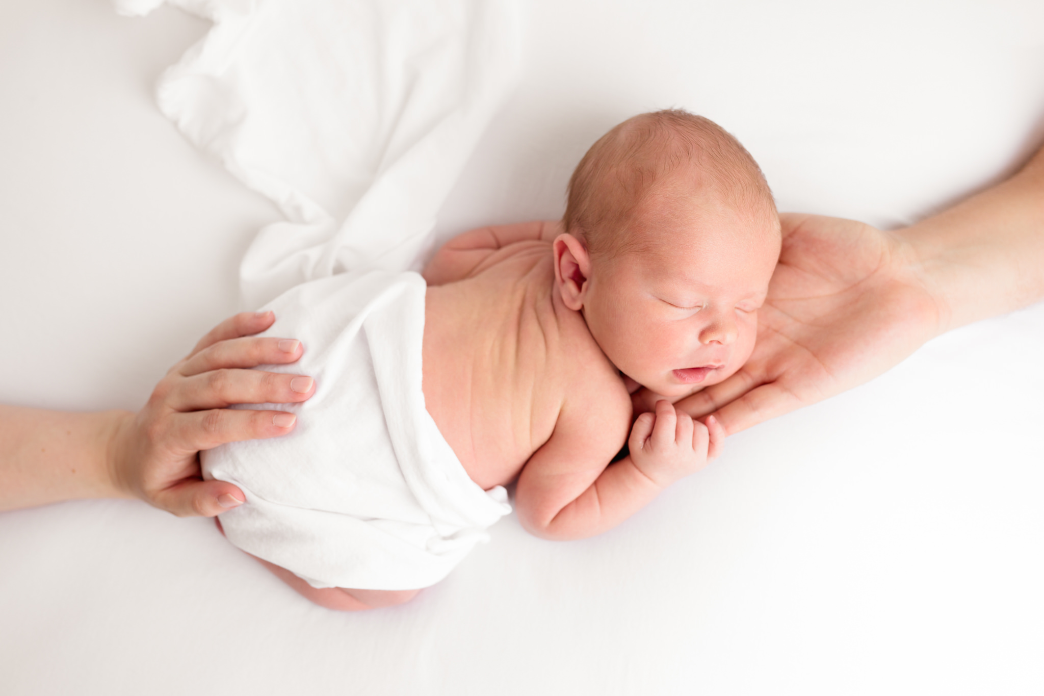 Sacramento Newborn photographer Sweet Jean Photography baby boy held in parents hands on white background.